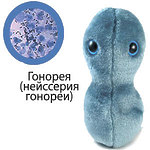 Giant Microbes Плюшевая "Гонорея"