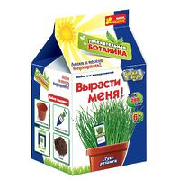 Набор для творчества "Вырасти меня. Лук"