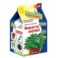 Набор для творчества "Вырасти меня. Мелисса"